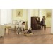 Parchet laminat SUPERIOR (Stejar Albit) D2413, 8 mm, Clasa 32
